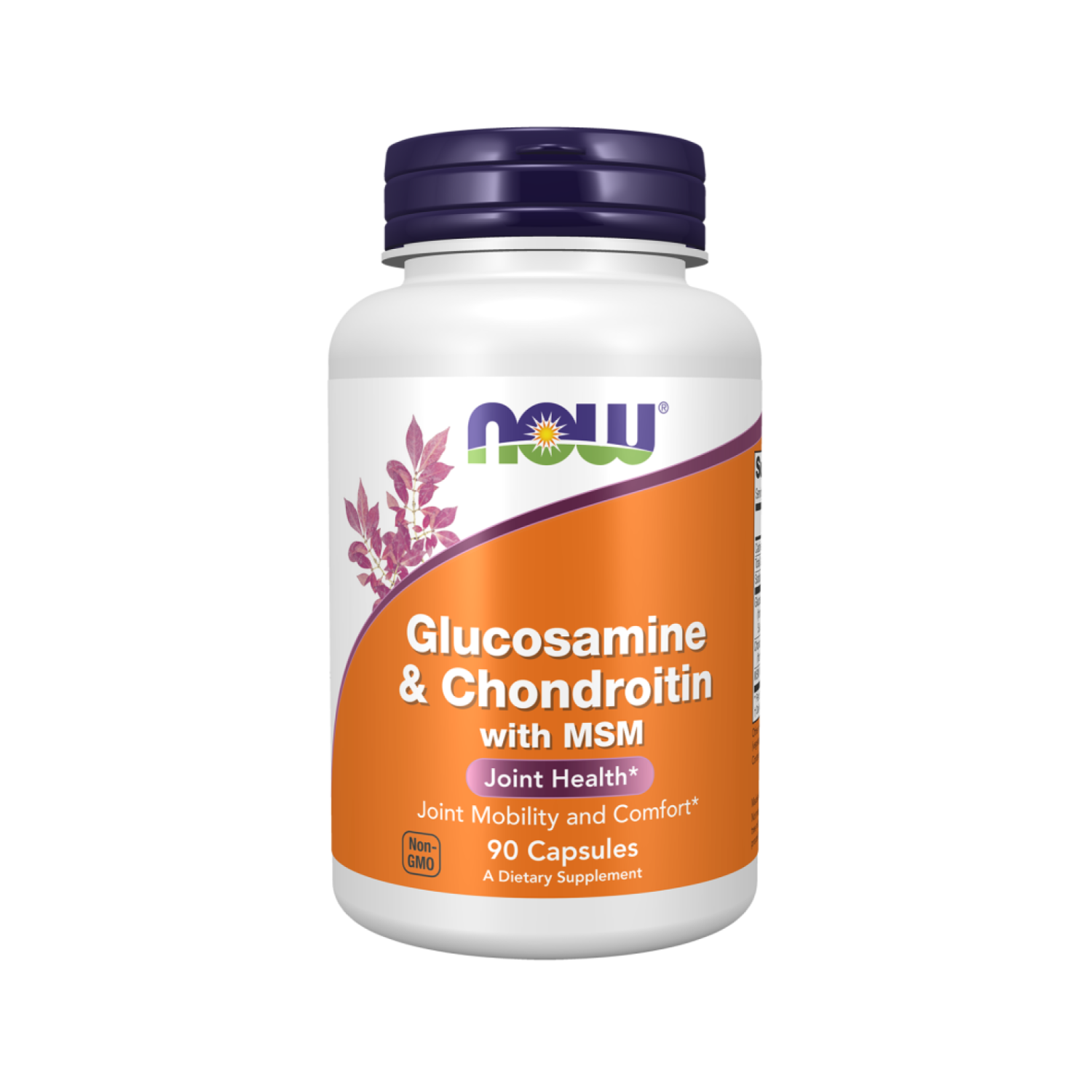 Glucosamine & Chondroitin with MSM - 90 caps